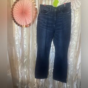 #4 Judy Blue - Used - Great condition 16w Bootcut